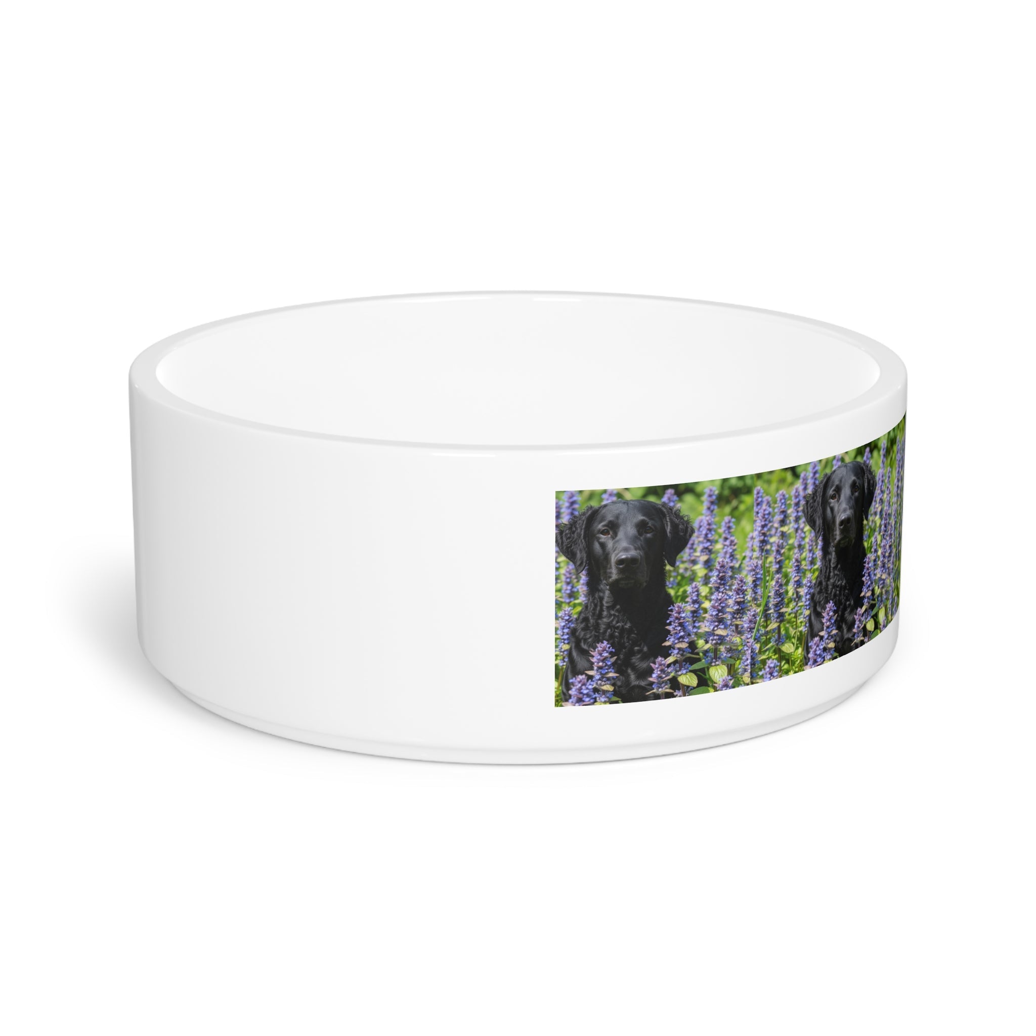 Ceramic Pet Bowl – 16 oz Dog Feeding Bowl