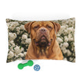 Pet Bed – Plush Dog Bed, 3 Size Options