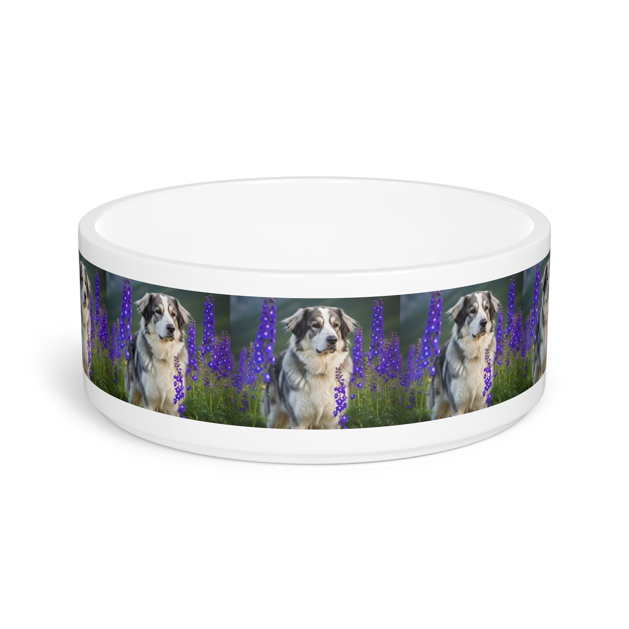 Ceramic Pet Bowl – 16 oz Dog Feeding Bowl