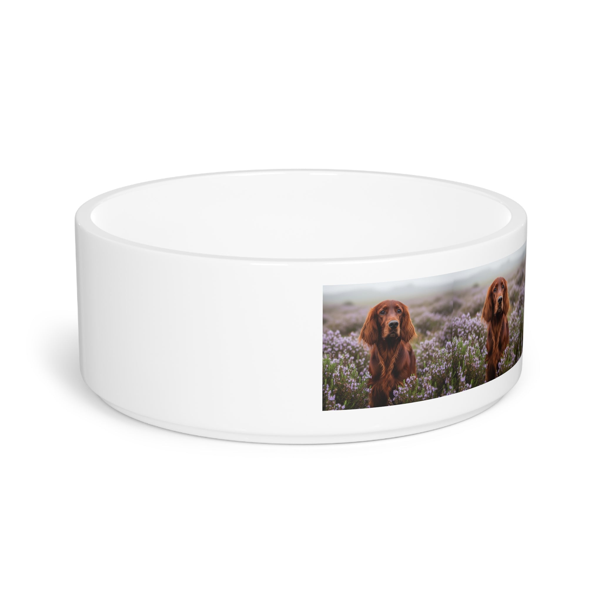 Ceramic Pet Bowl – 16 oz Dog Feeding Bowl