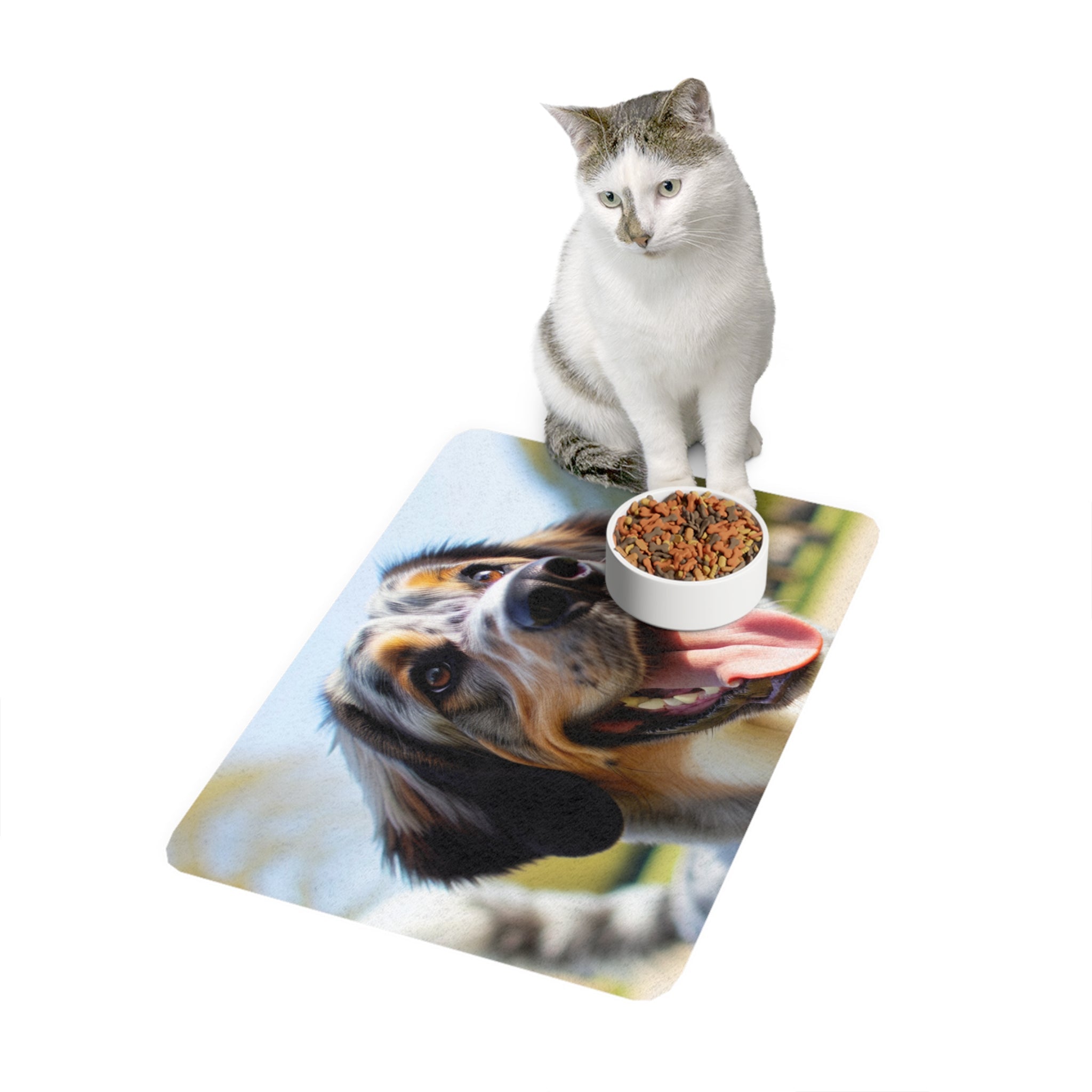 Non-Slip Pet Food Mat – Waterproof Feeding Mat for Dogs