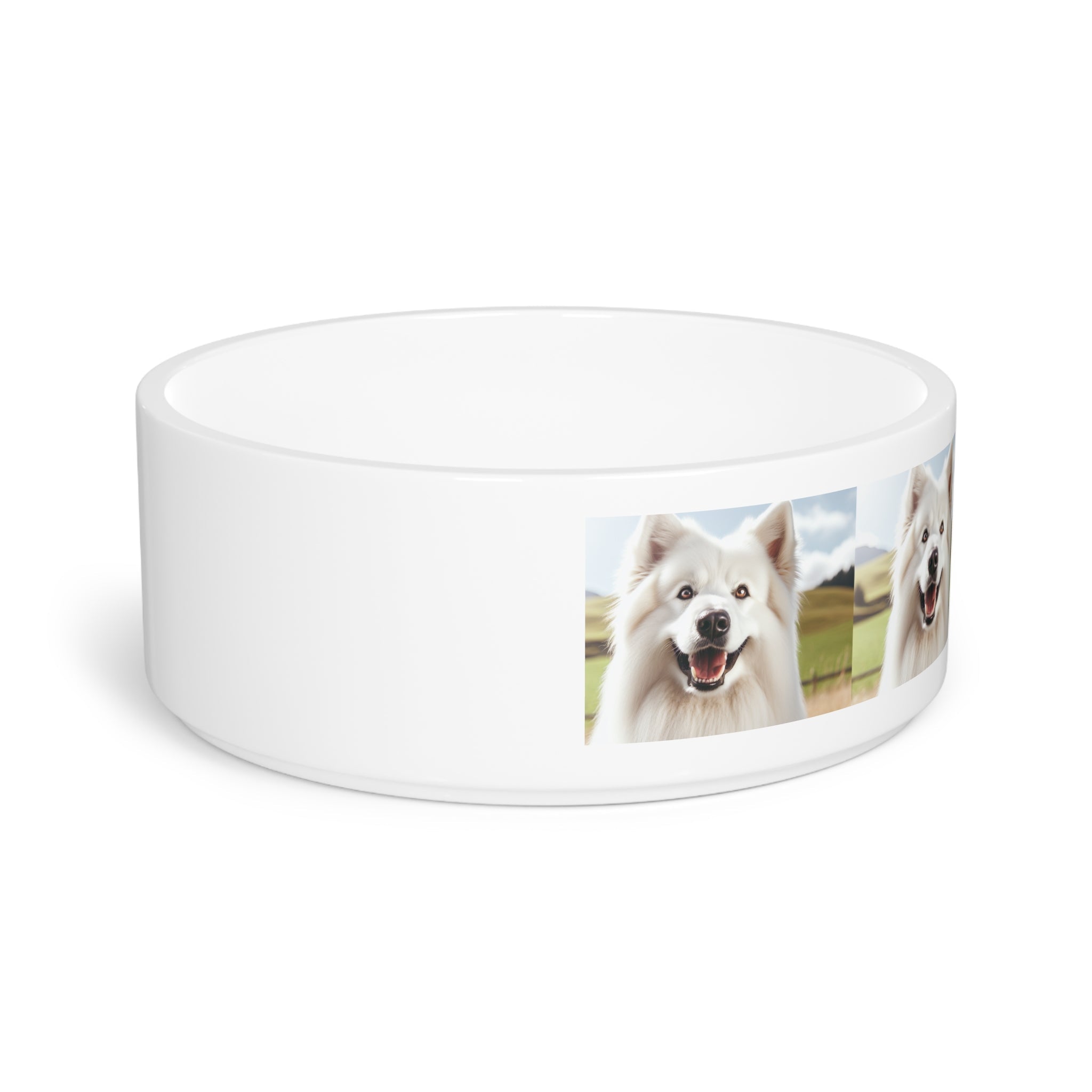 Ceramic Pet Bowl – 16 oz Dog Feeding Bowl