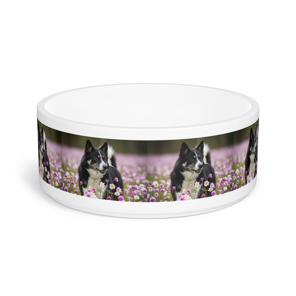 Ceramic Pet Bowl – 16 oz Dog Feeding Bowl