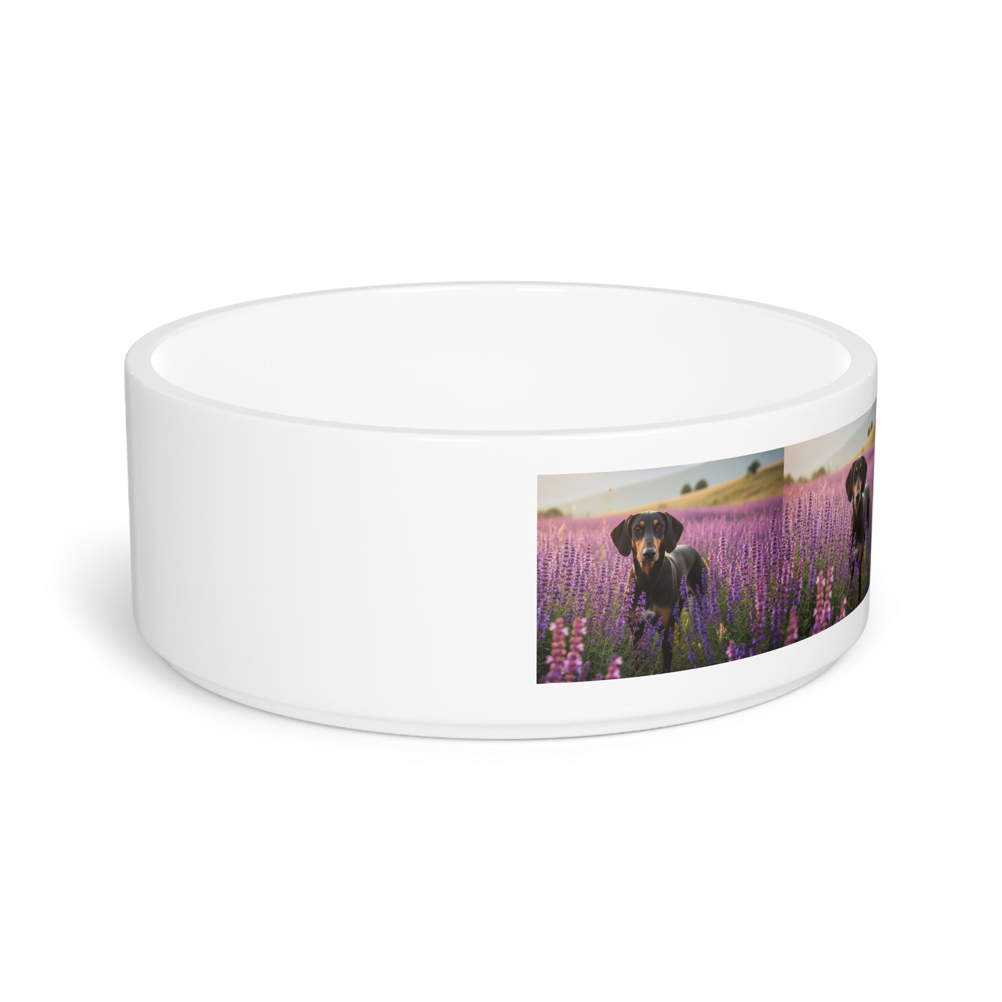 Ceramic Pet Bowl – 16 oz Dog Feeding Bowl