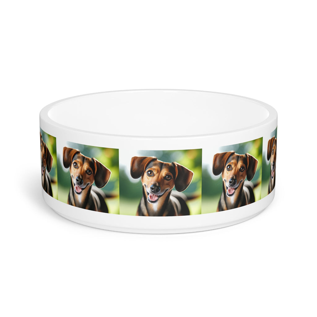 Ceramic Pet Bowl – 16 oz Dog Feeding Bowl