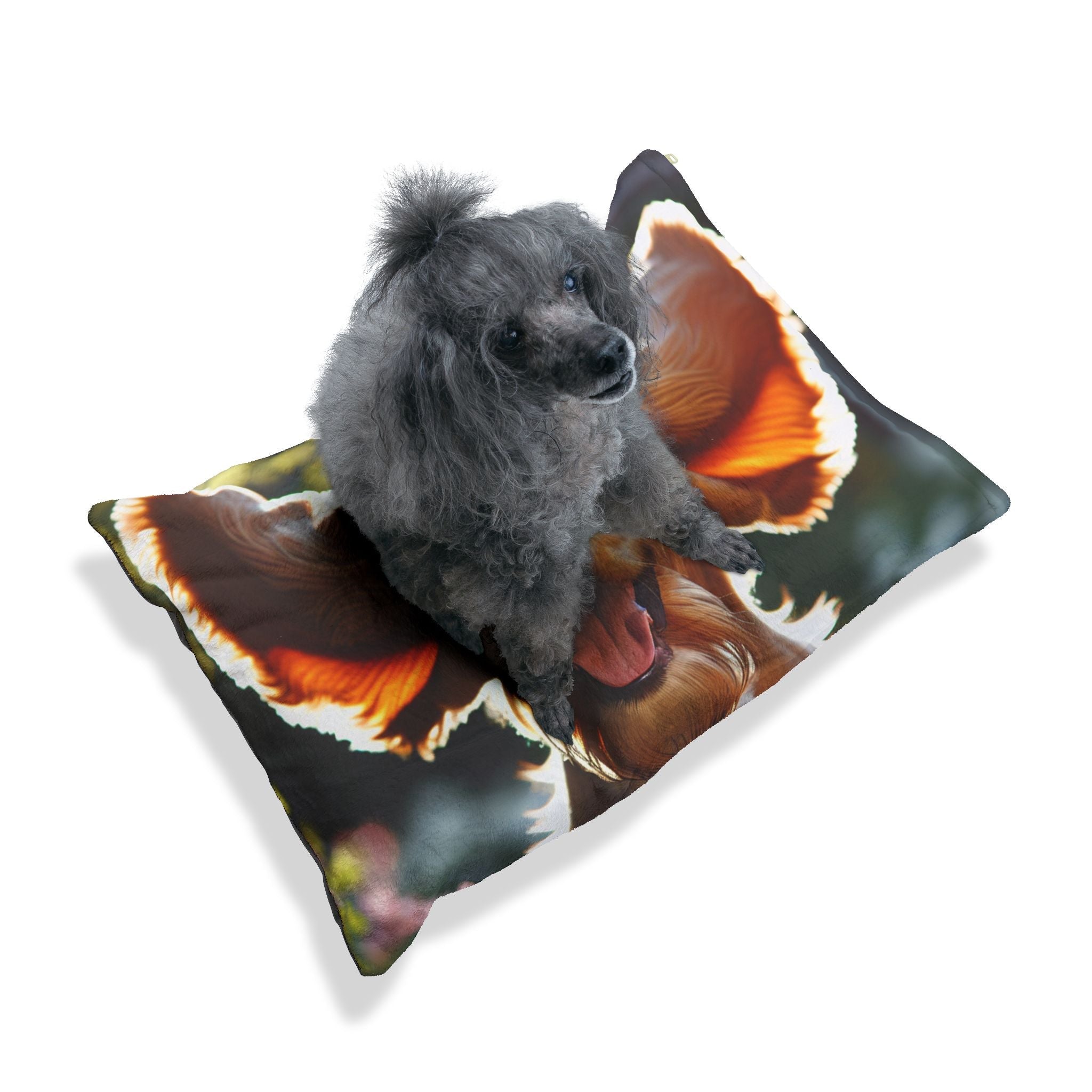 Pet Bed – Plush Dog Bed, 3 Size Options