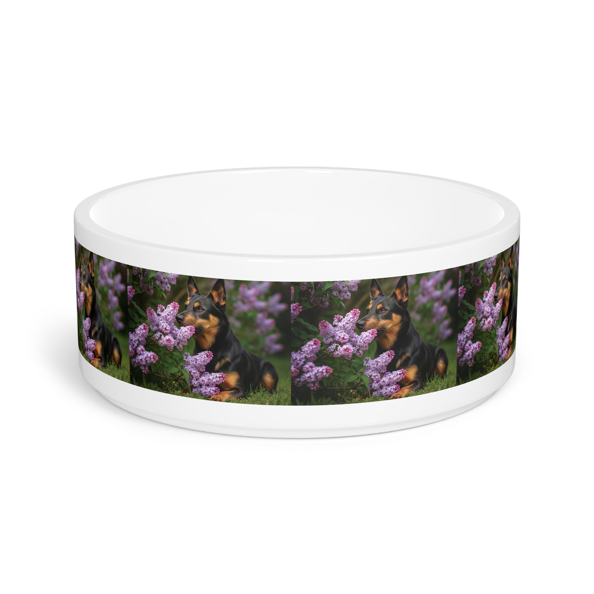 Ceramic Pet Bowl – 16 oz Dog Feeding Bowl