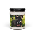 Soy Candle – Scented Jar Candle