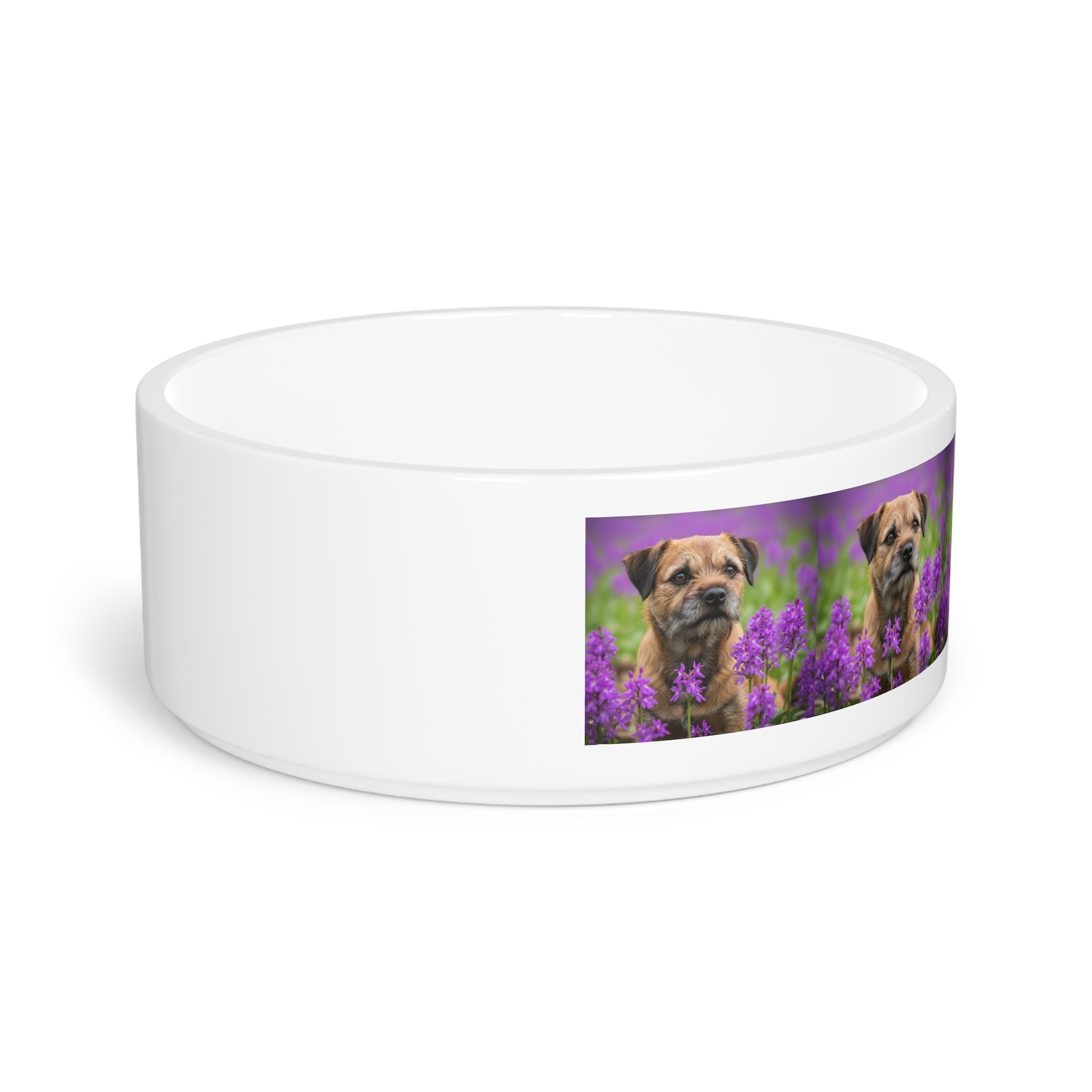 Ceramic Pet Bowl – 16 oz Dog Feeding Bowl