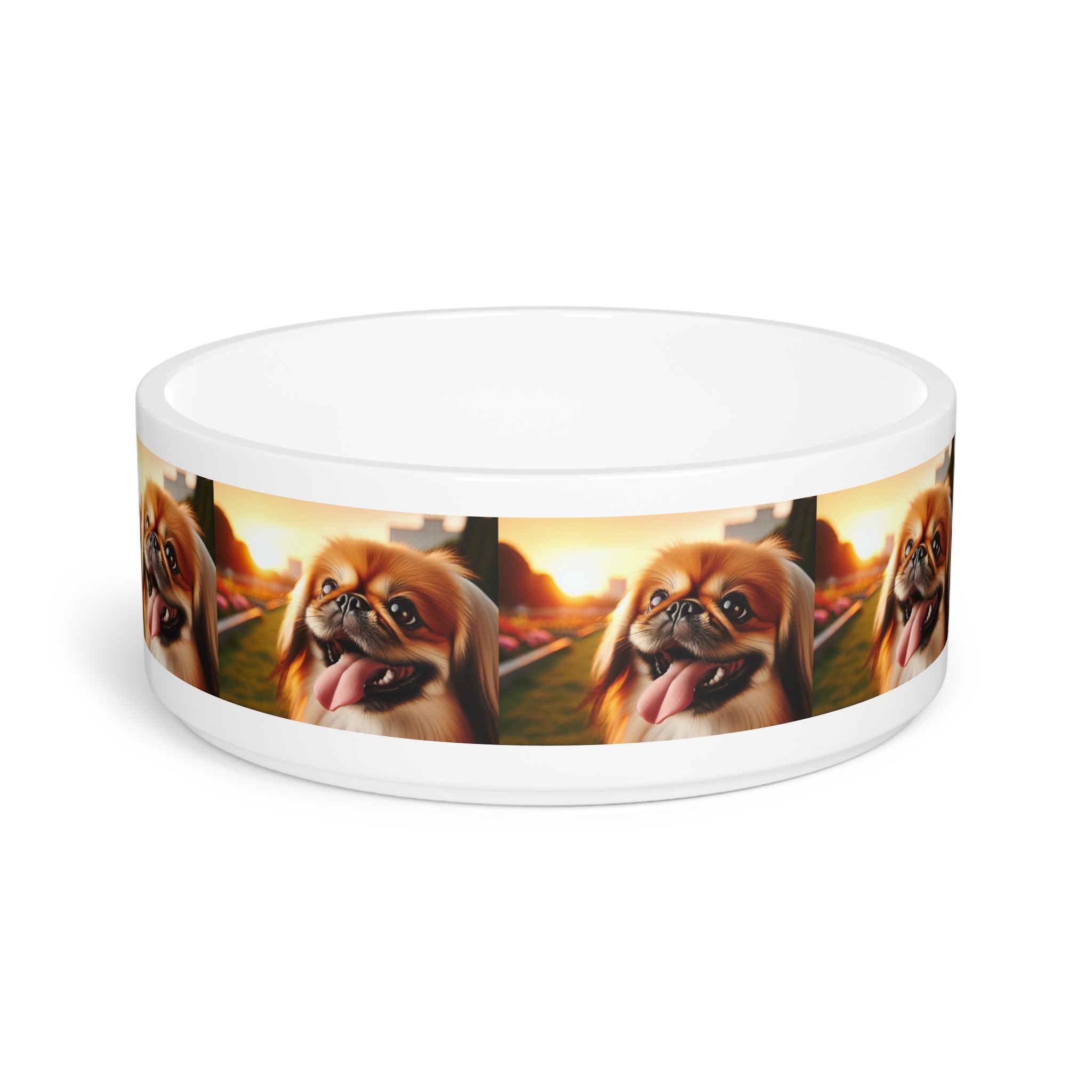 Ceramic Pet Bowl – 16 oz Dog Feeding Bowl