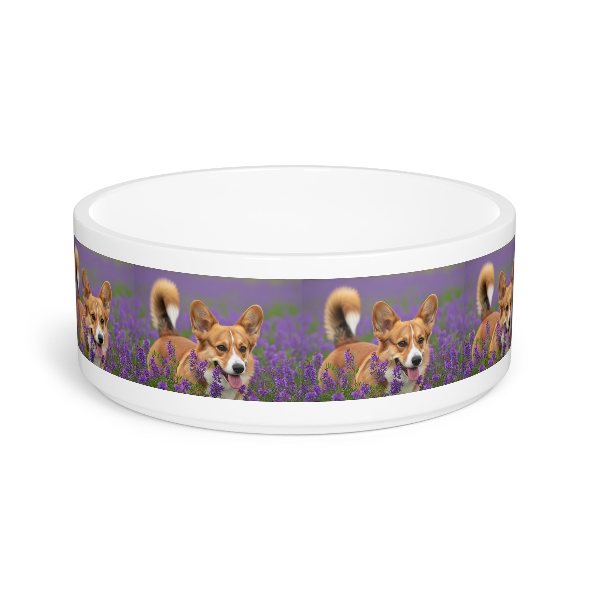 Ceramic Pet Bowl – 16 oz Dog Feeding Bowl