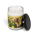 Soy Candle – Scented Jar Candle