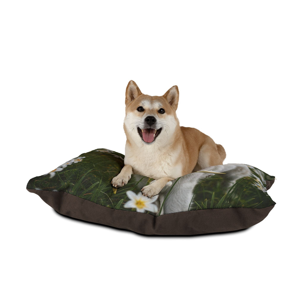 Pet Bed – Plush Dog Bed, 3 Size Options