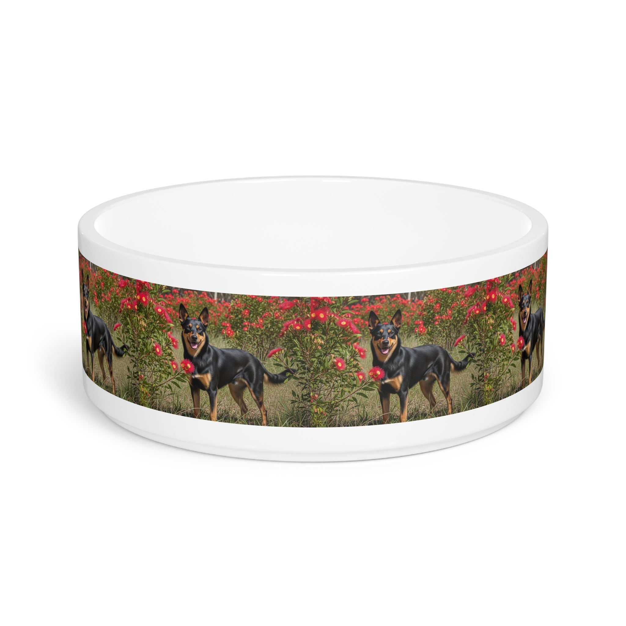 Ceramic Pet Bowl – 16 oz Dog Feeding Bowl