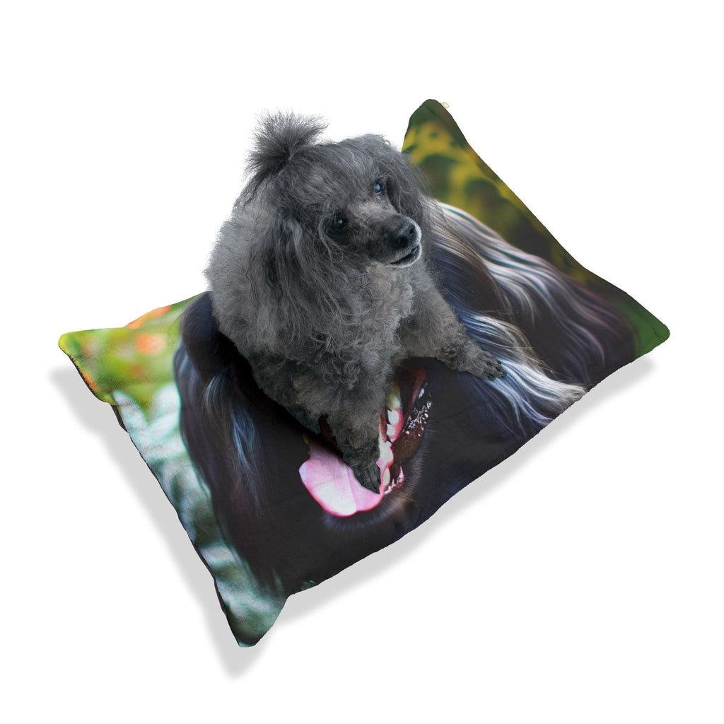Pet Bed – Plush Dog Bed, 3 Size Options