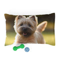 Pet Bed – Plush Dog Bed, 3 Size Options