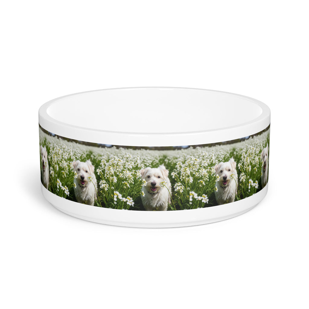 Ceramic Pet Bowl – 16 oz Dog Feeding Bowl