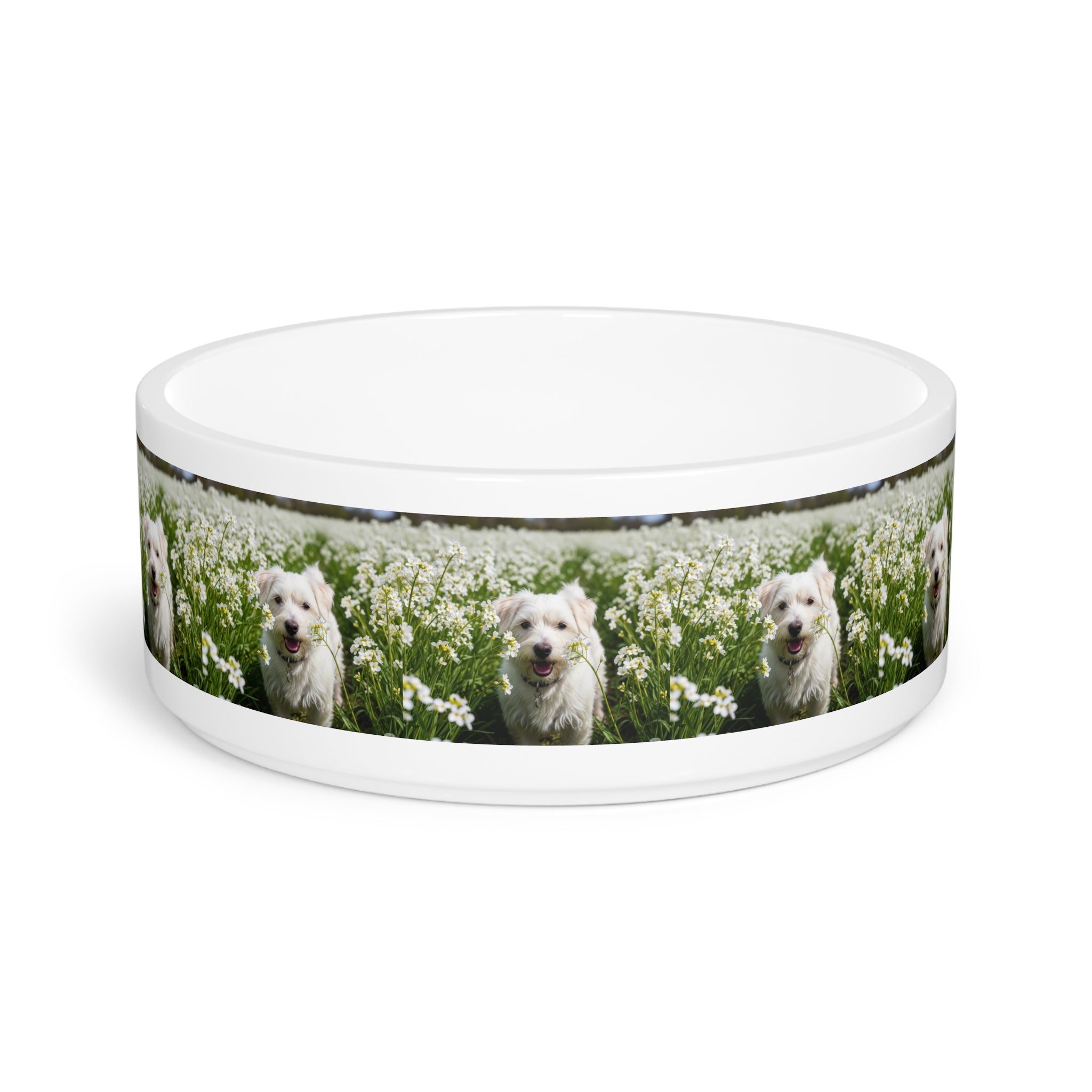 Ceramic Pet Bowl – 16 oz Dog Feeding Bowl