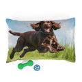 Pet Bed – Plush Dog Bed, 3 Size Options