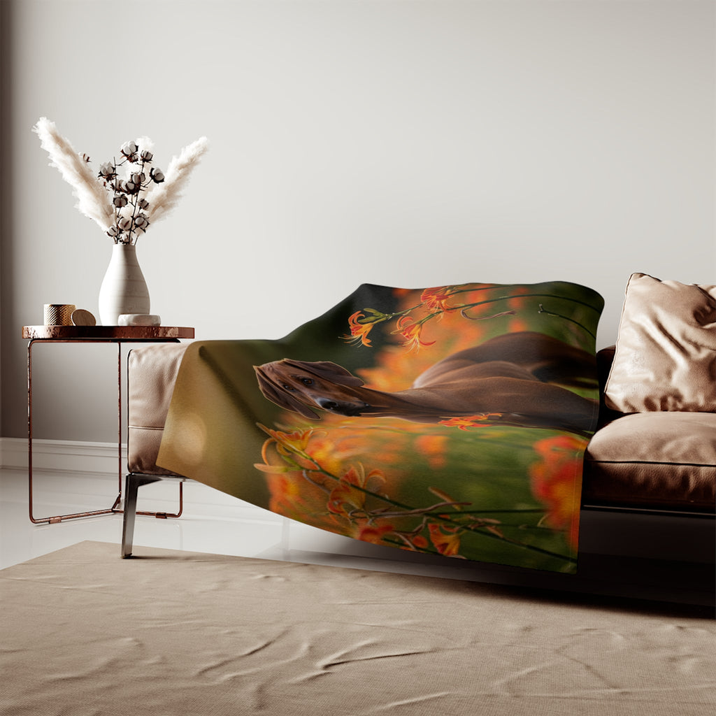 Sweatshirt Blanket – Plush Fleece Throw, 2 Size Options