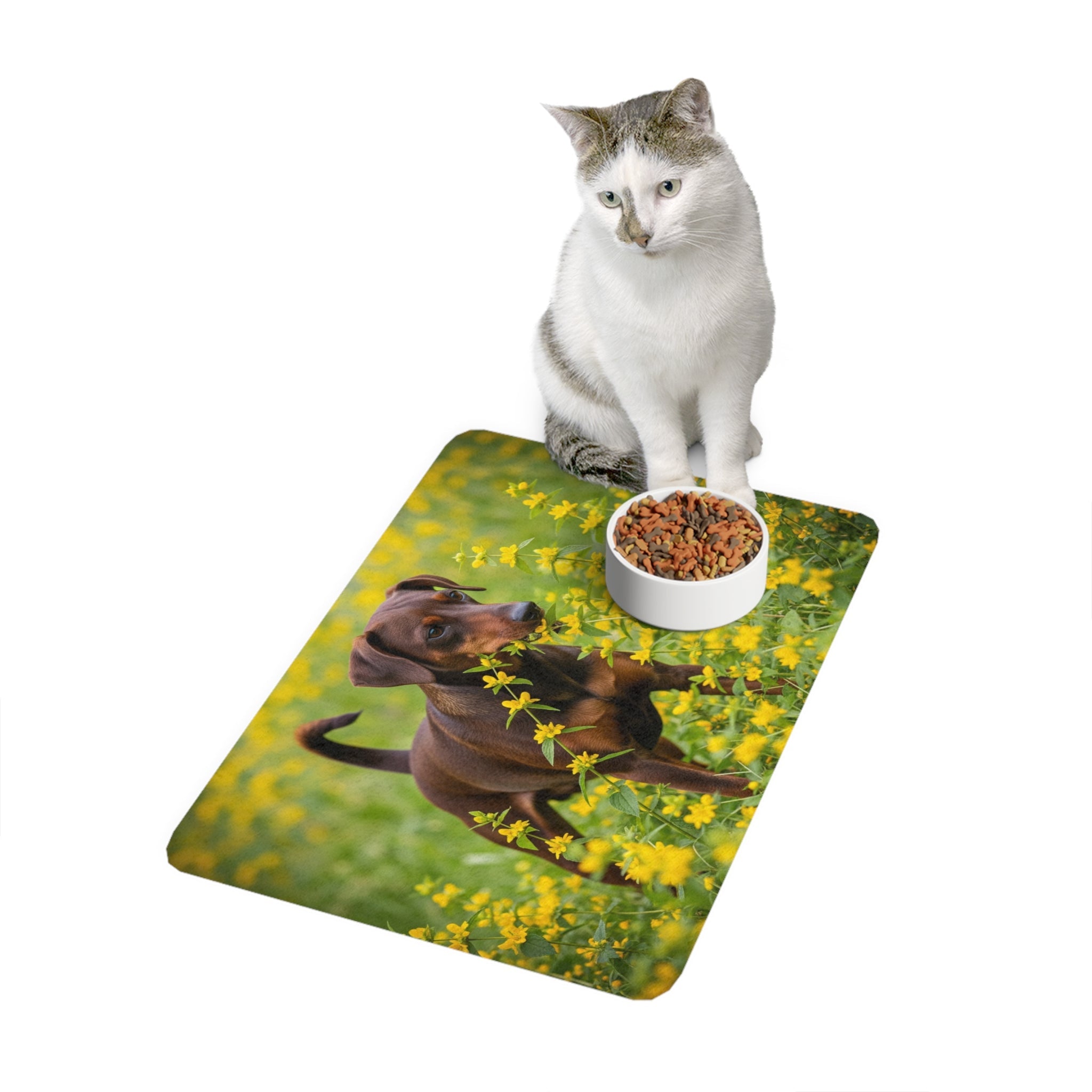 Non-Slip Pet Food Mat – Waterproof Feeding Mat for Dogs