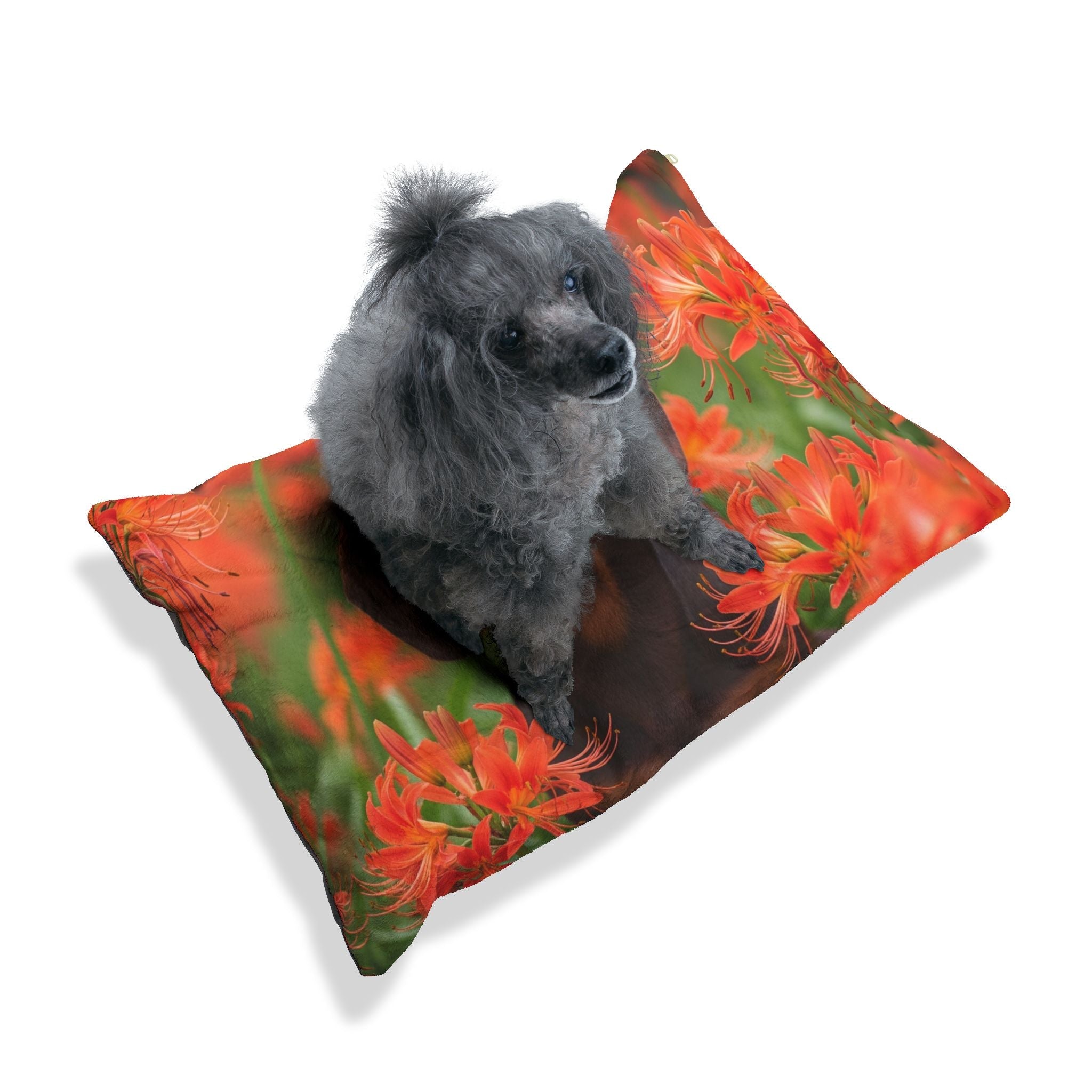 Pet Bed – Plush Dog Bed, 3 Size Options