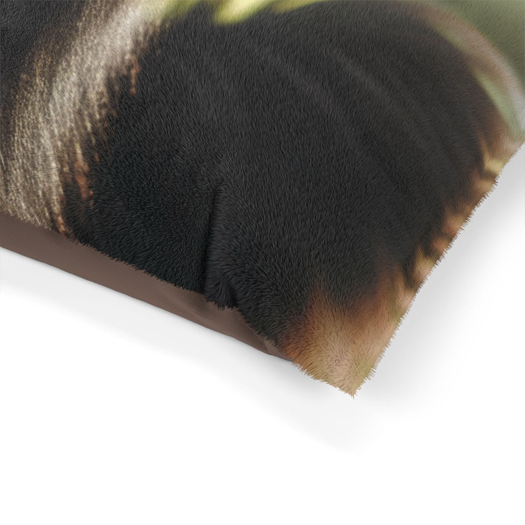 Pet Bed – Plush Dog Bed, 3 Size Options
