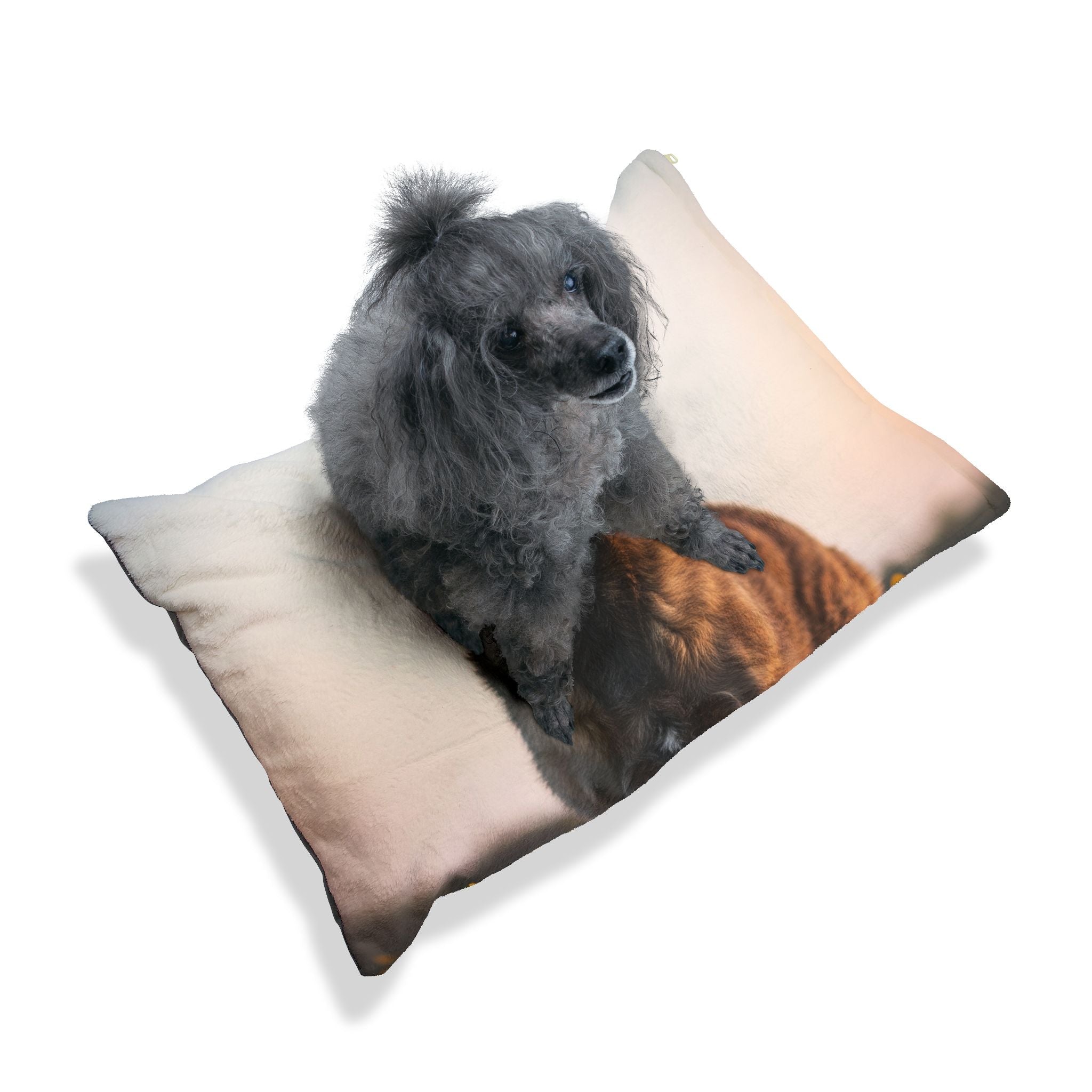Pet Bed – Plush Dog Bed, 3 Size Options