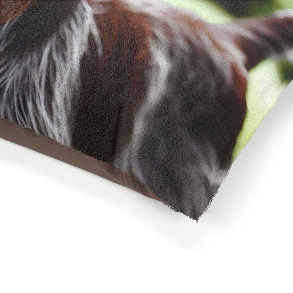Pet Bed – Plush Dog Bed, 3 Size Options