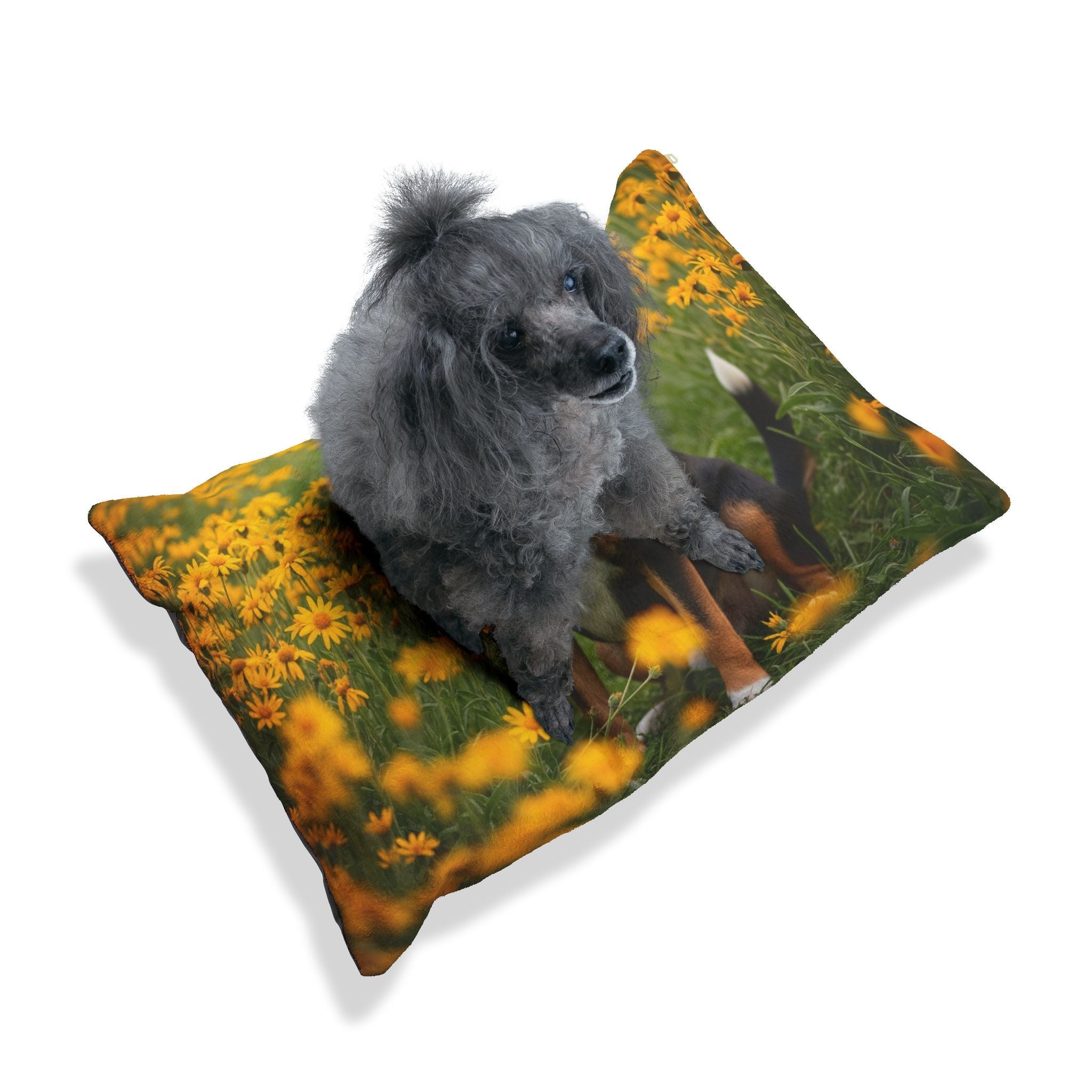 Pet Bed – Plush Dog Bed, 3 Size Options
