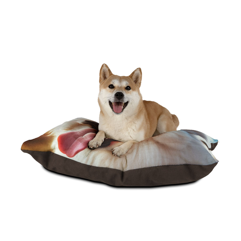 Pet Bed – Plush Dog Bed, 3 Size Options