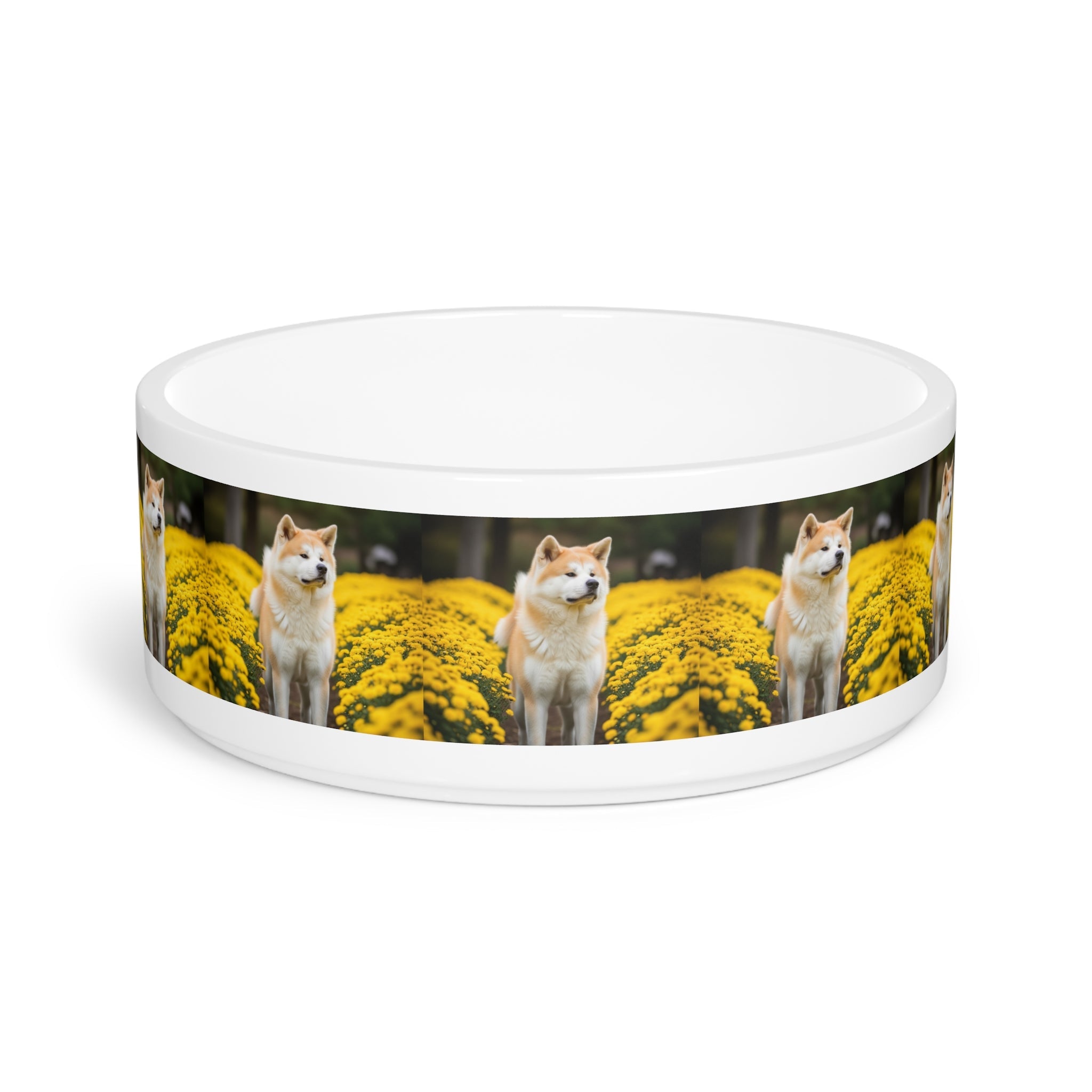 Ceramic Pet Bowl – 16 oz Dog Feeding Bowl