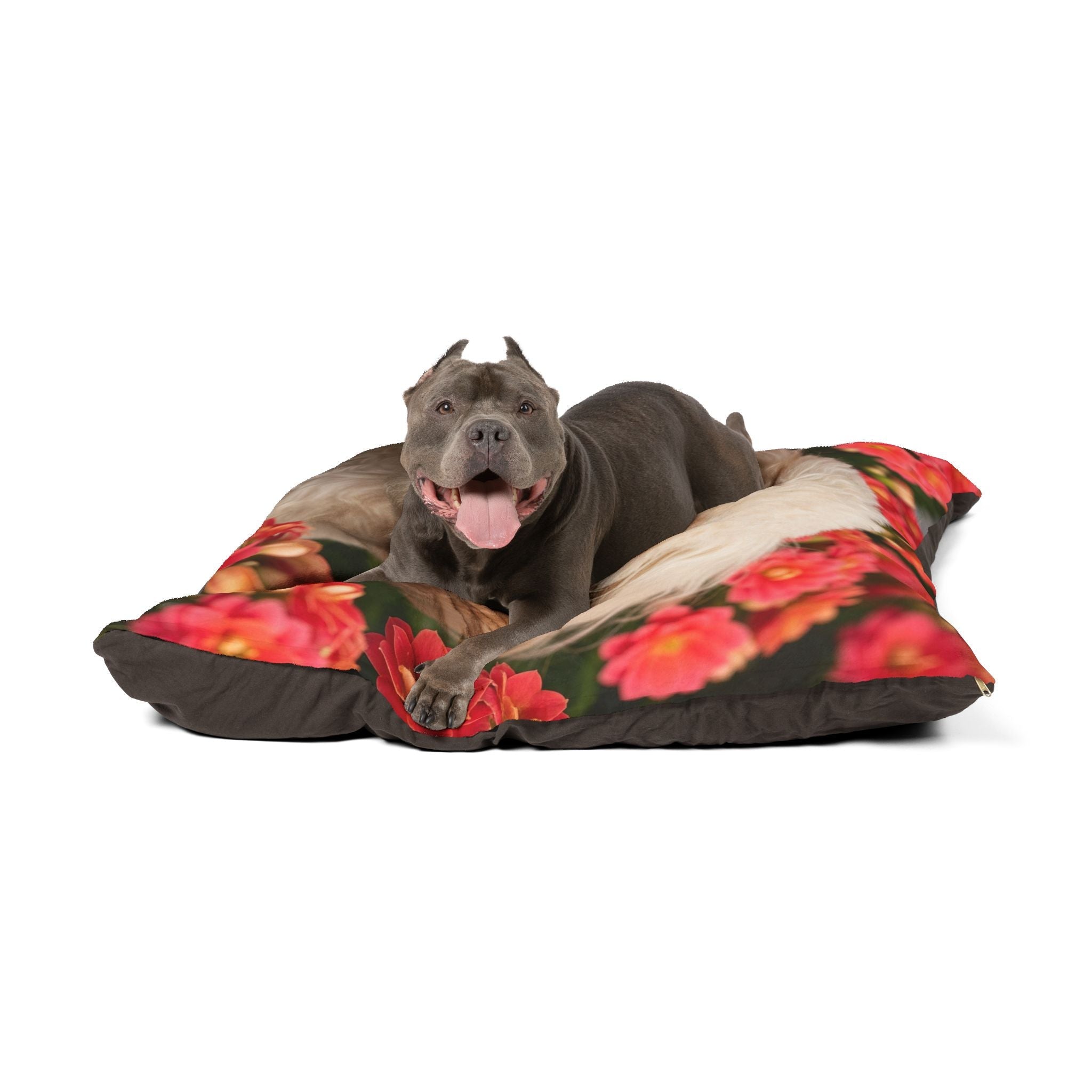 Pet Bed – Plush Dog Bed, 3 Size Options