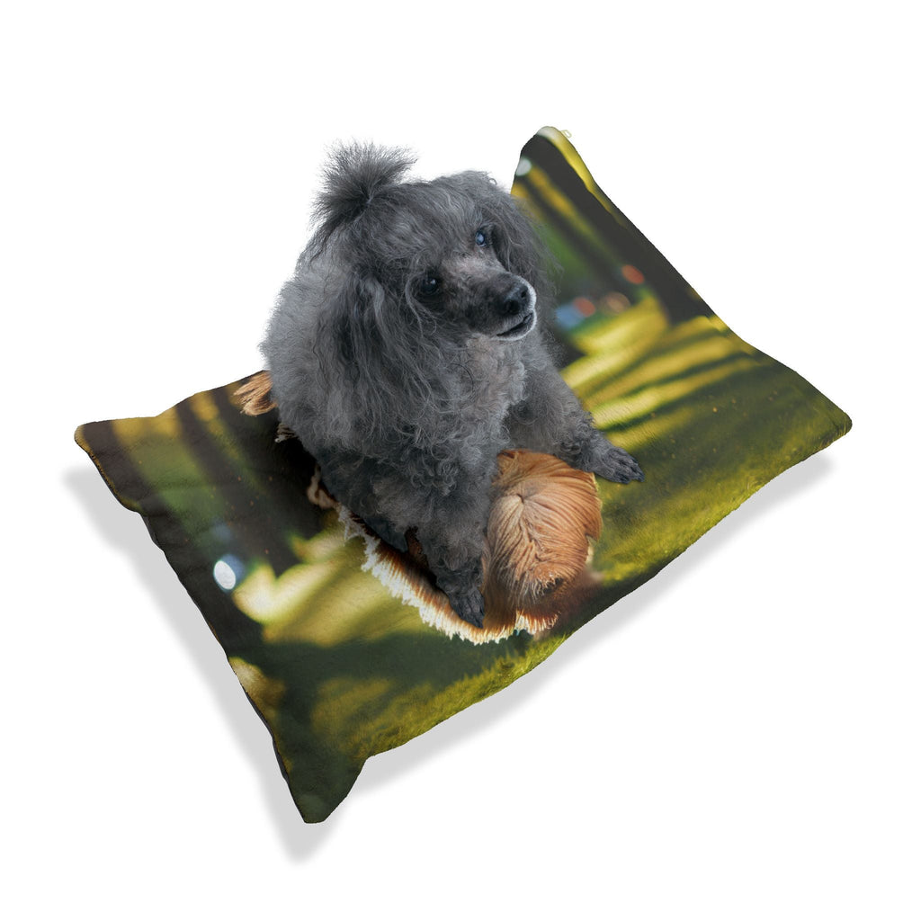 Pet Bed – Plush Dog Bed, 3 Size Options