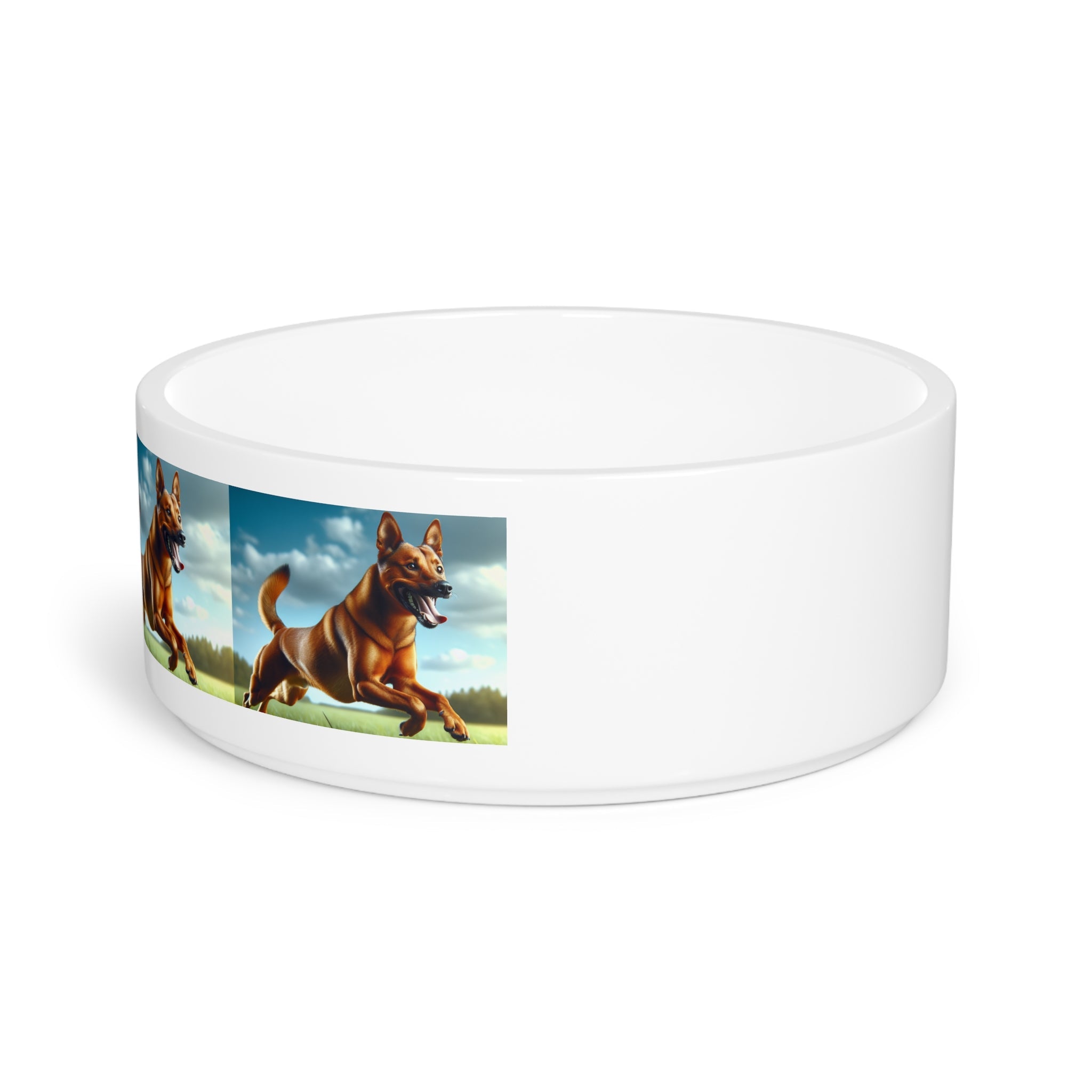 Ceramic Pet Bowl – 16 oz Dog Feeding Bowl