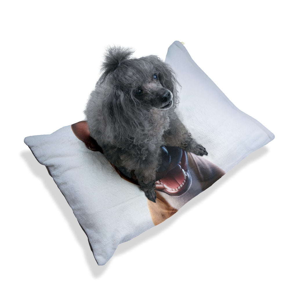 Pet Bed – Plush Dog Bed, 3 Size Options