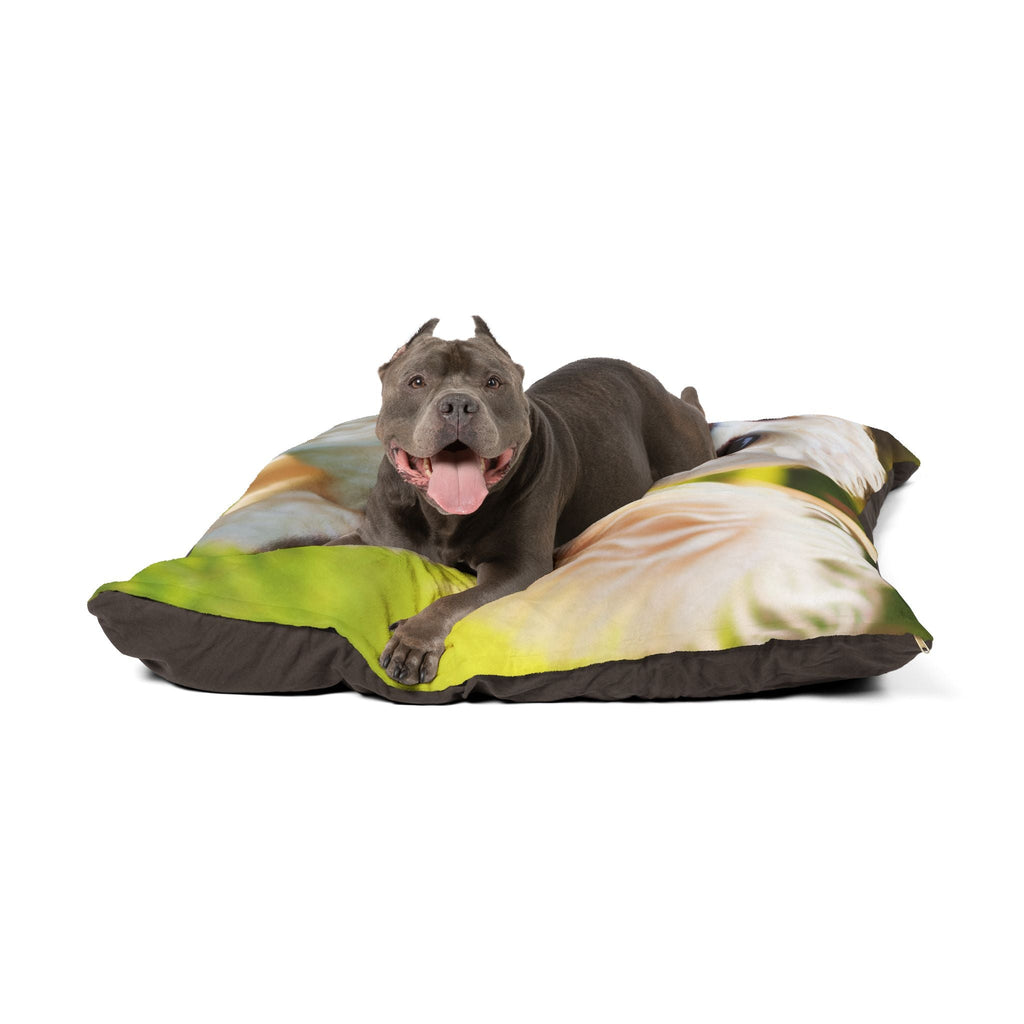 Pet Bed – Plush Dog Bed, 3 Size Options