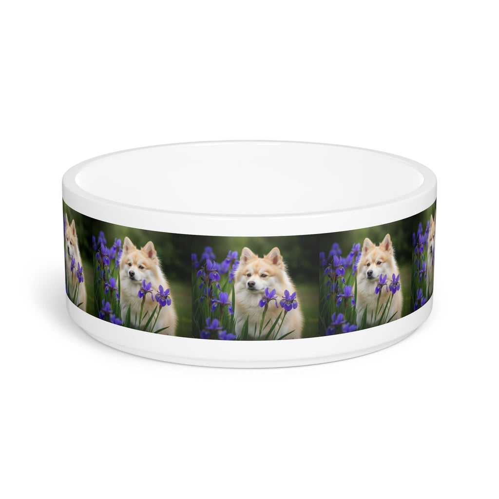 Ceramic Pet Bowl – 16 oz Dog Feeding Bowl