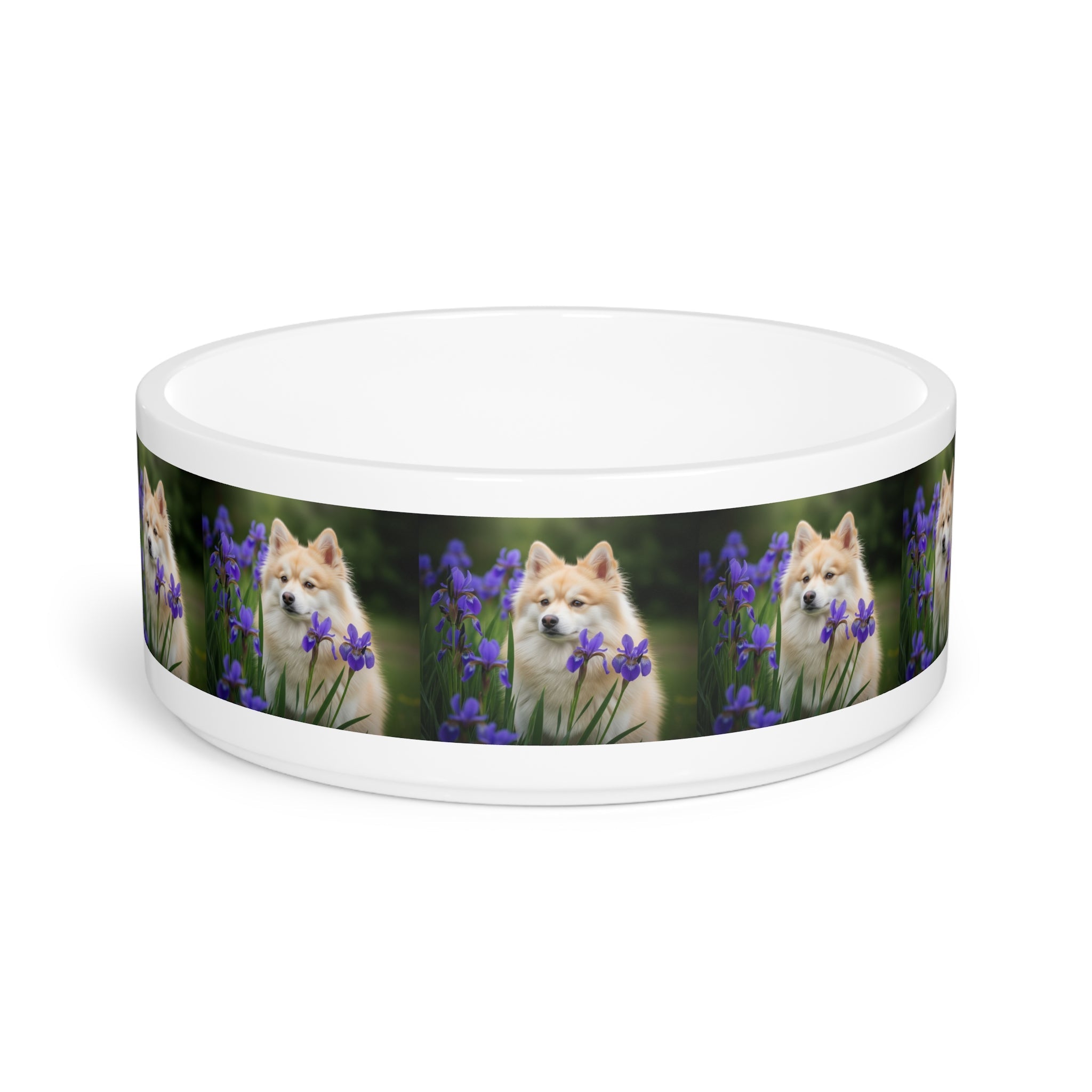 Ceramic Pet Bowl – 16 oz Dog Feeding Bowl