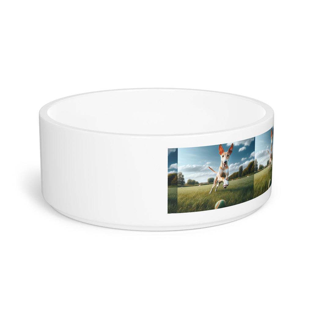 Ceramic Pet Bowl – 16 oz Dog Feeding Bowl