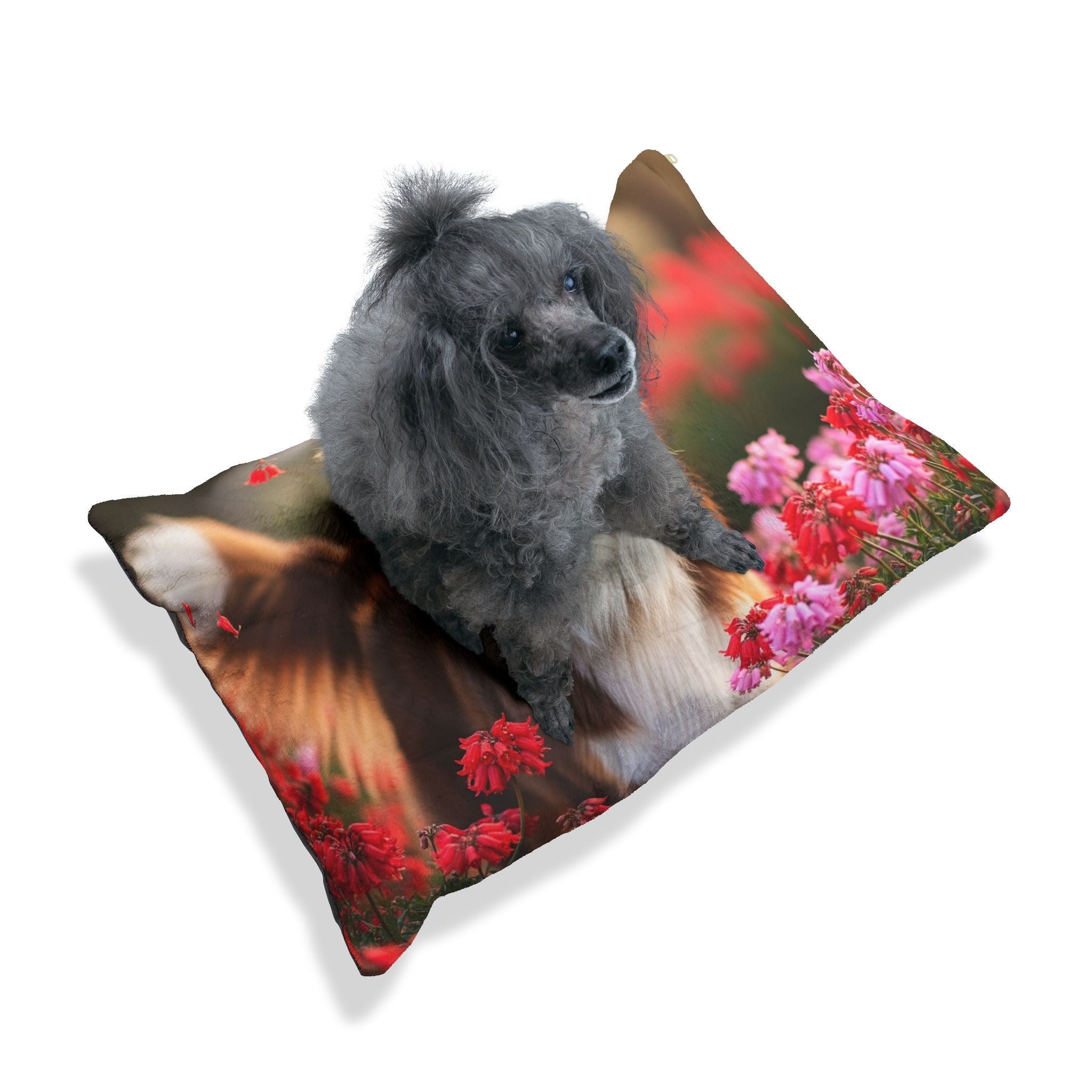 Pet Bed – Plush Dog Bed, 3 Size Options