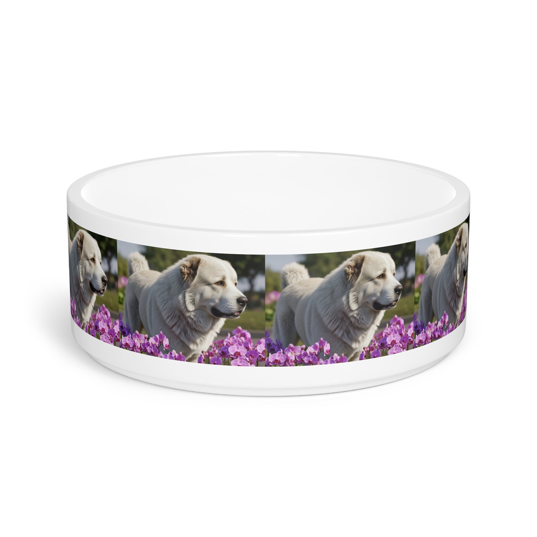 Ceramic Pet Bowl – 16 oz Dog Feeding Bowl