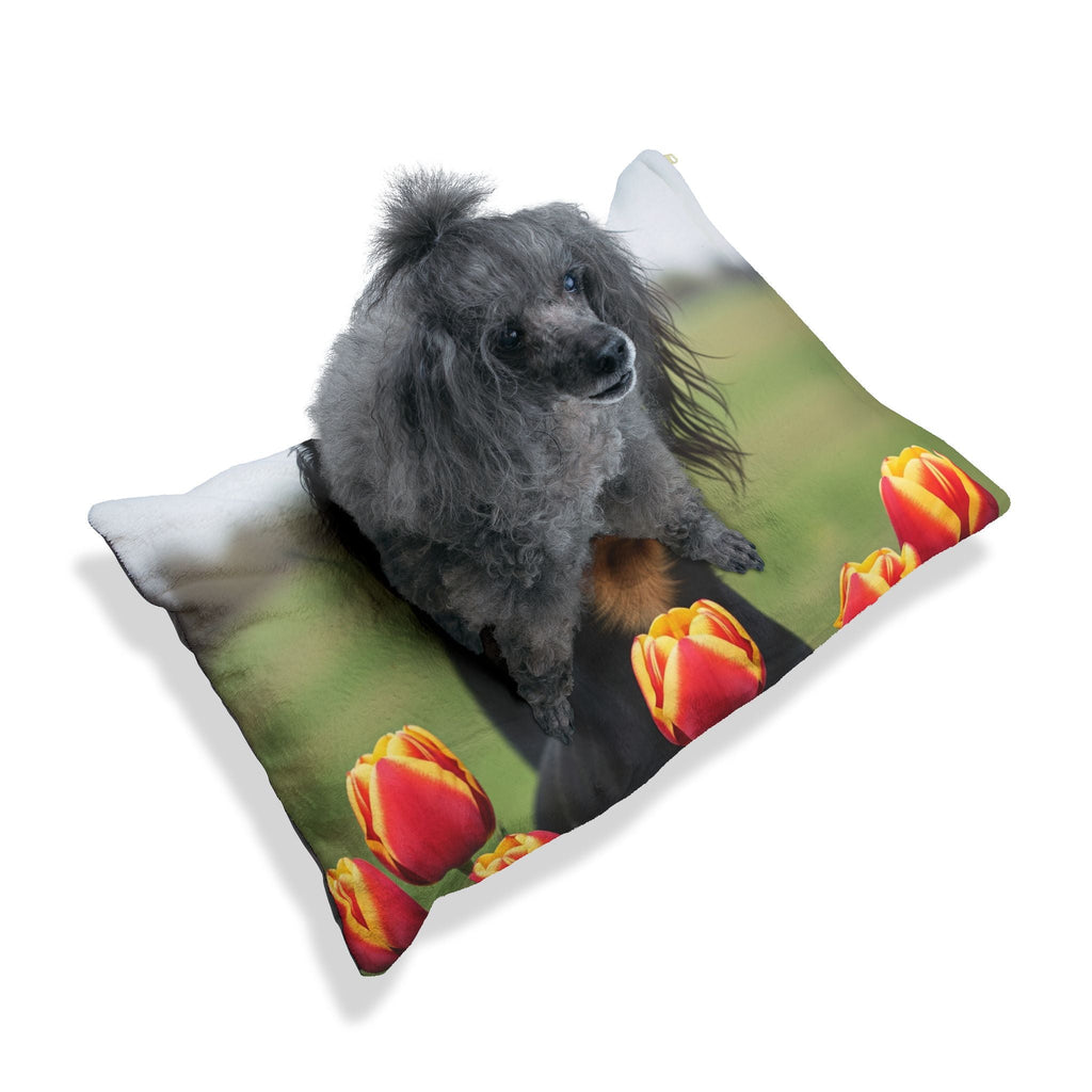 Pet Bed – Plush Dog Bed, 3 Size Options