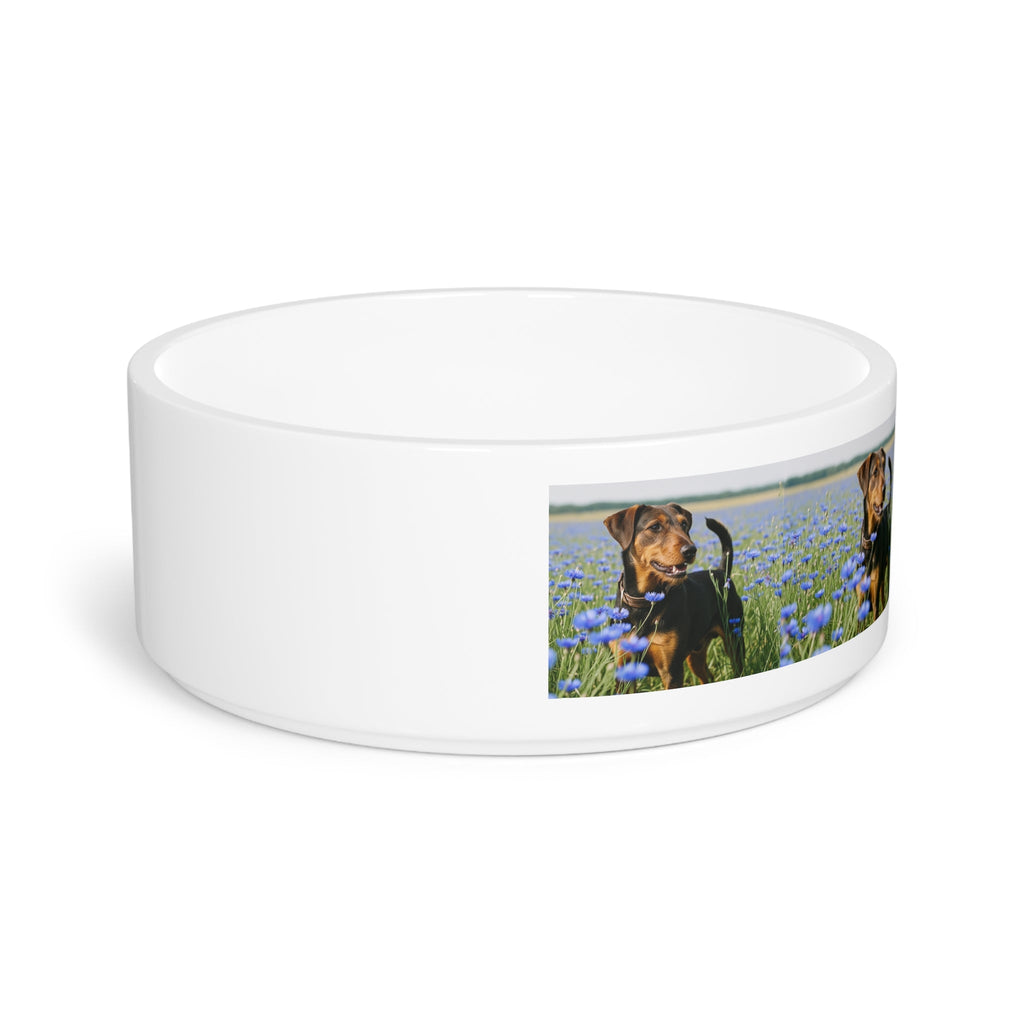Ceramic Pet Bowl – 16 oz Dog Feeding Bowl