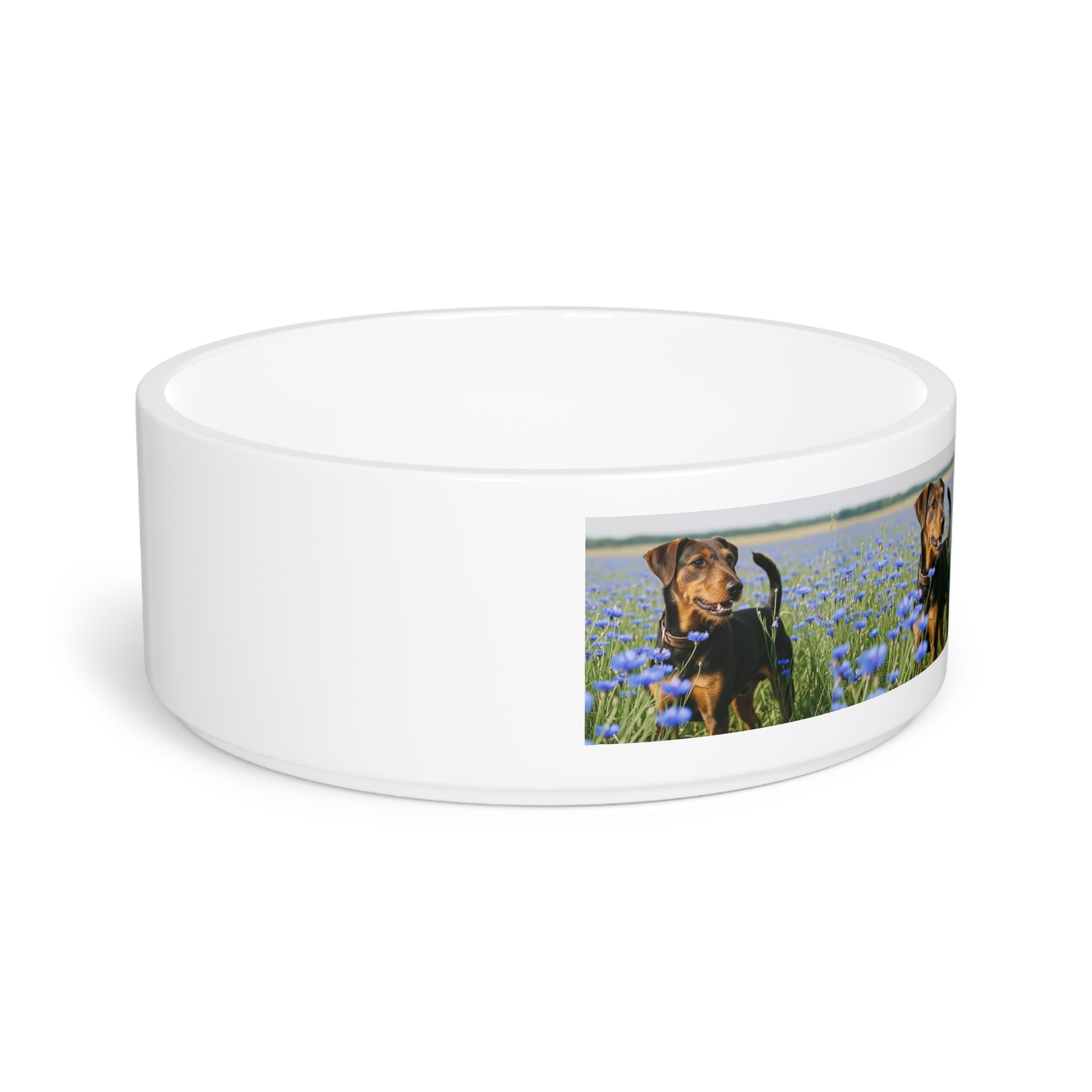 Ceramic Pet Bowl – 16 oz Dog Feeding Bowl