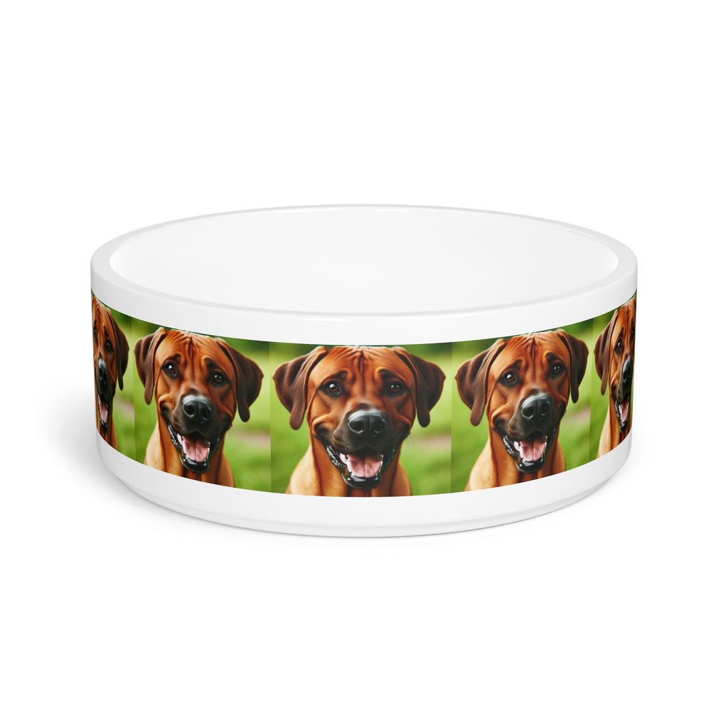 Ceramic Pet Bowl – 16 oz Dog Feeding Bowl