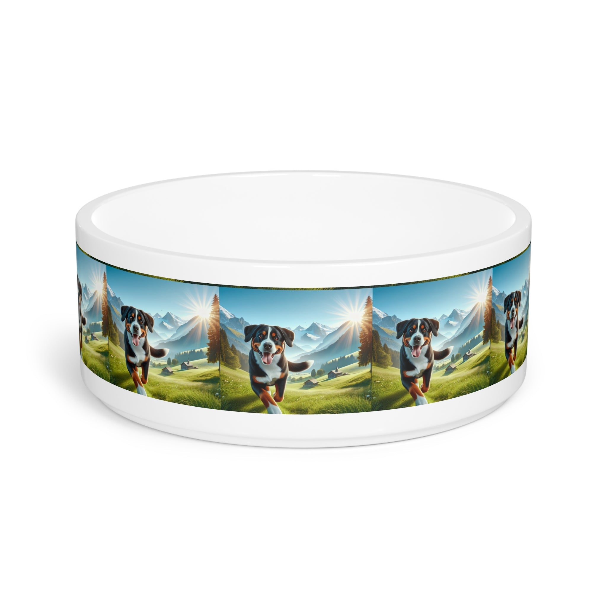 Ceramic Pet Bowl – 16 oz Dog Feeding Bowl