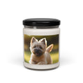 Soy Candle – Scented Jar Candle