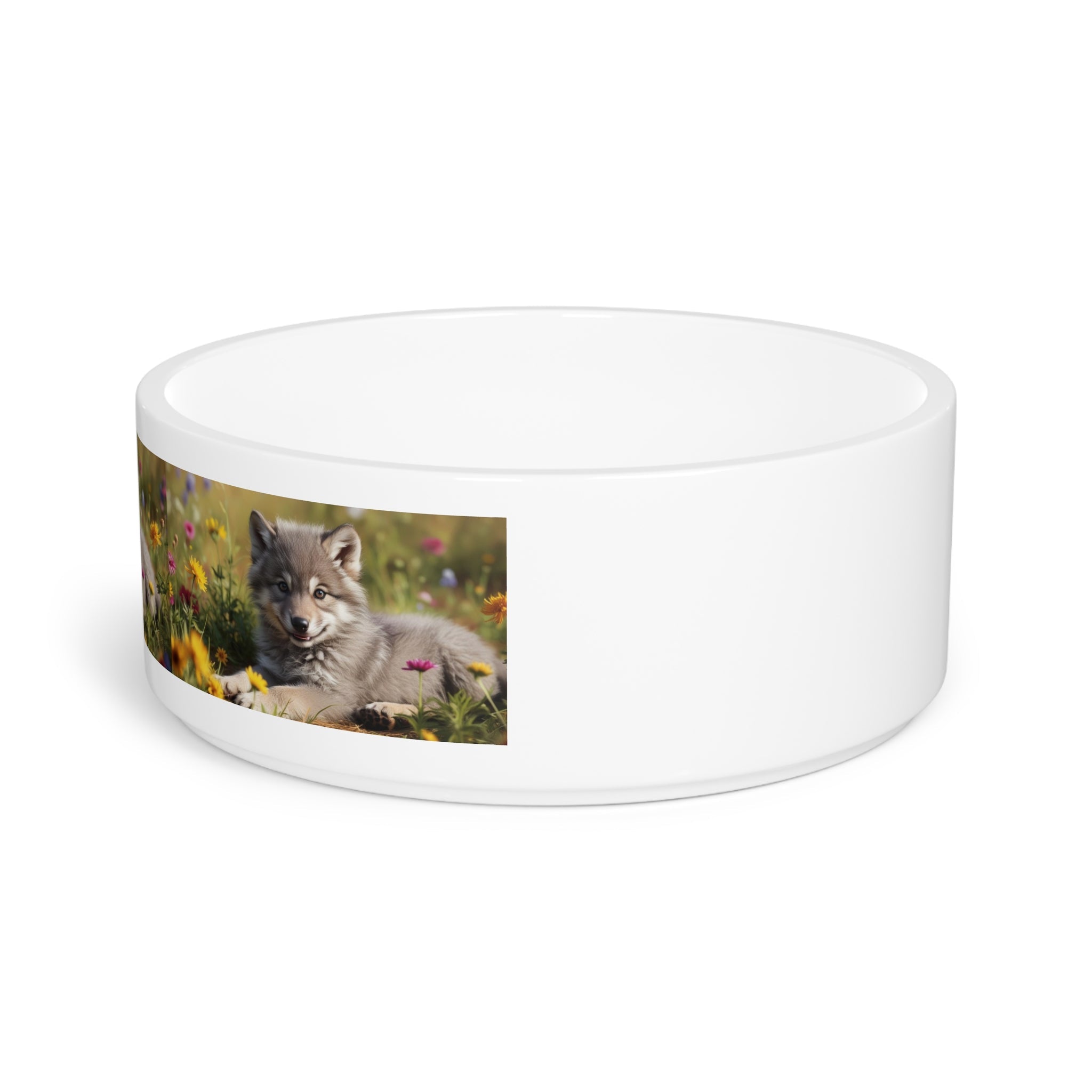 Ceramic Pet Bowl – 16 oz Dog Feeding Bowl