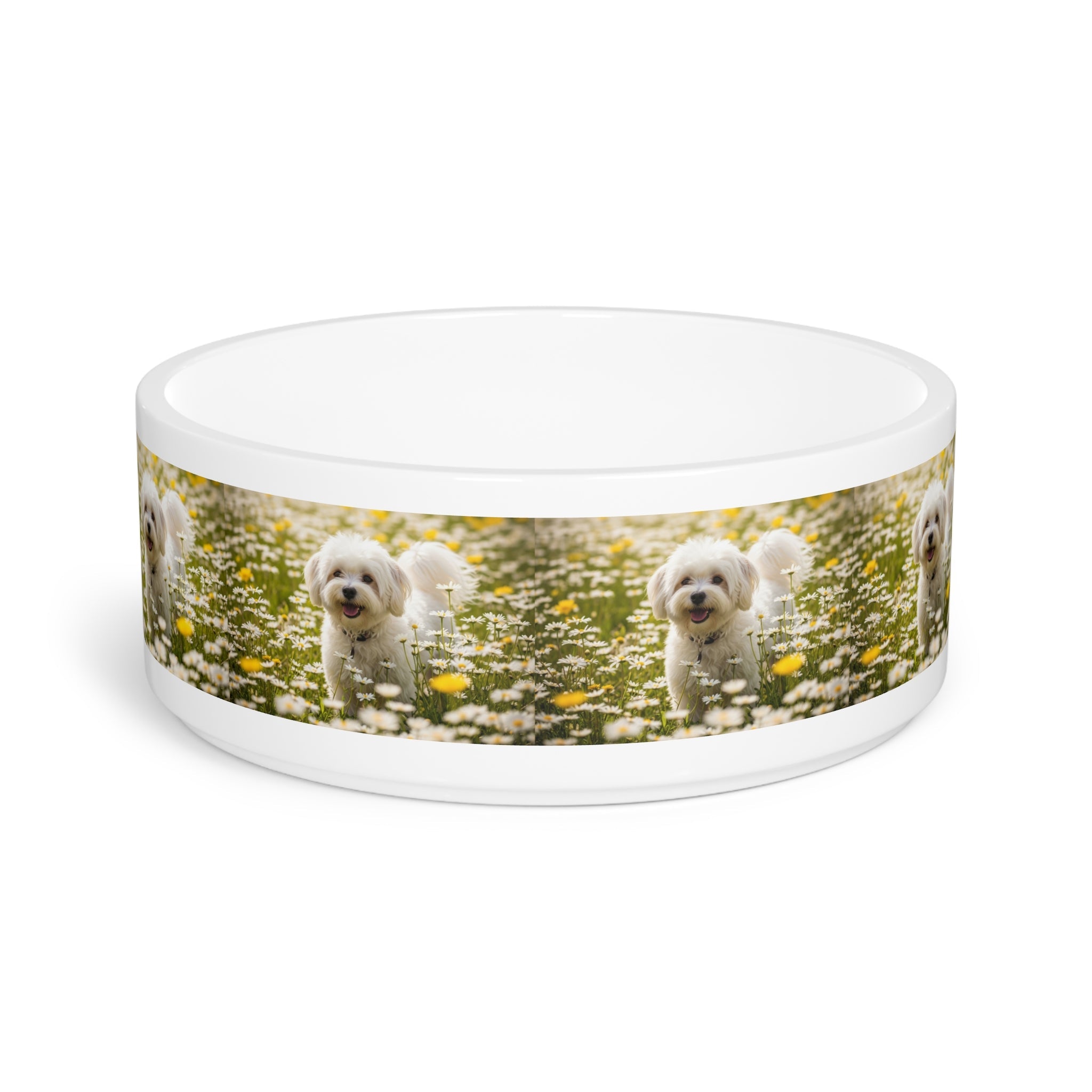 Ceramic Pet Bowl – 16 oz Dog Feeding Bowl